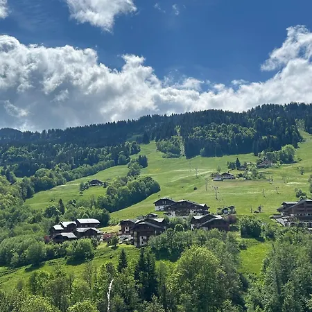 Renove Au Pied Des Pistes Avec Piscine, Sauna, Linge Inclus Et Animaux Acceptes Apartment *