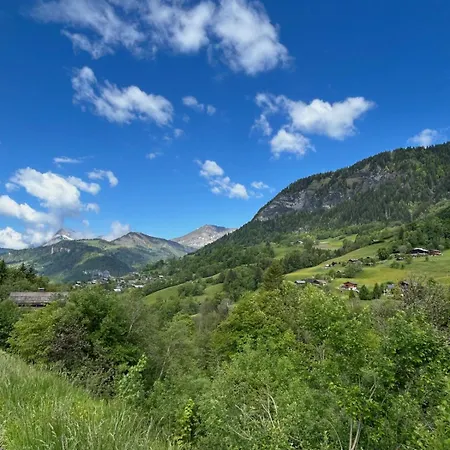 Apartment Renove Au Pied Des Pistes Avec Piscine, Sauna, Linge Inclus Et Animaux Acceptes