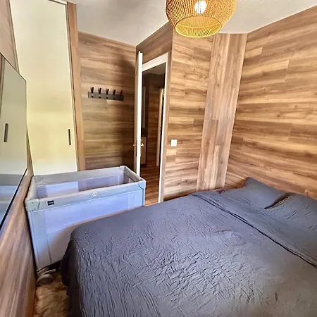 Renove Au Pied Des Pistes Avec Piscine, Sauna, Linge Inclus Et Animaux Acceptes *