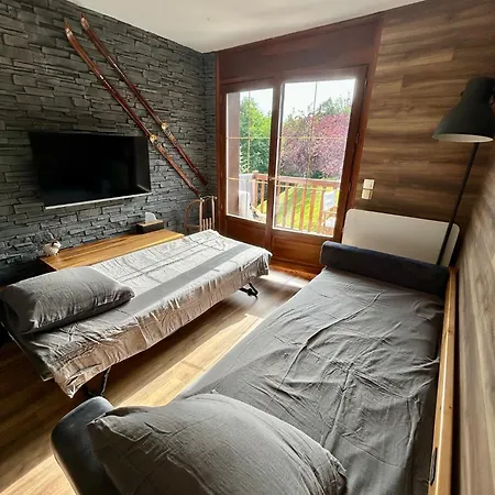 Renove Au Pied Des Pistes Avec Piscine, Sauna, Linge Inclus Et Animaux Acceptes Apartment