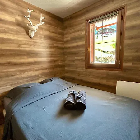 Renove Au Pied Des Pistes Avec Piscine, Sauna, Linge Inclus Et Animaux Acceptes * Flumet