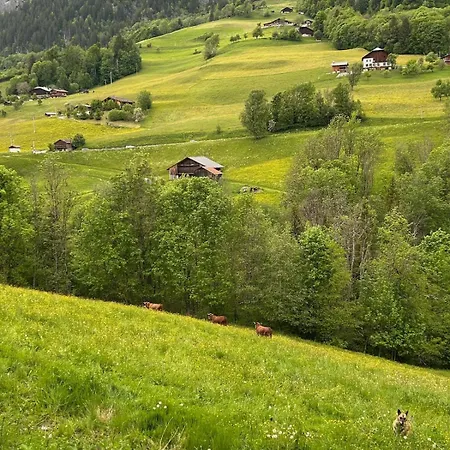 Apartment Renove Au Pied Des Pistes Avec Piscine, Sauna, Linge Inclus Et Animaux Acceptes Flumet