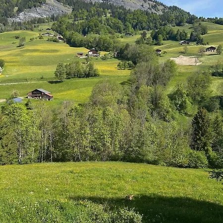 Renove Au Pied Des Pistes Avec Piscine, Sauna, Linge Inclus Et Animaux Acceptes Flumet