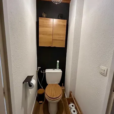 Renove Au Pied Des Pistes Avec Piscine, Sauna, Linge Inclus Et Animaux Acceptes *