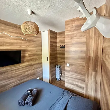 Renove Au Pied Des Pistes Avec Piscine, Sauna, Linge Inclus Et Animaux Acceptes Apartment